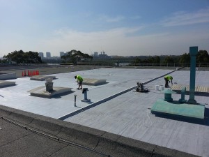 sydney waterproof service